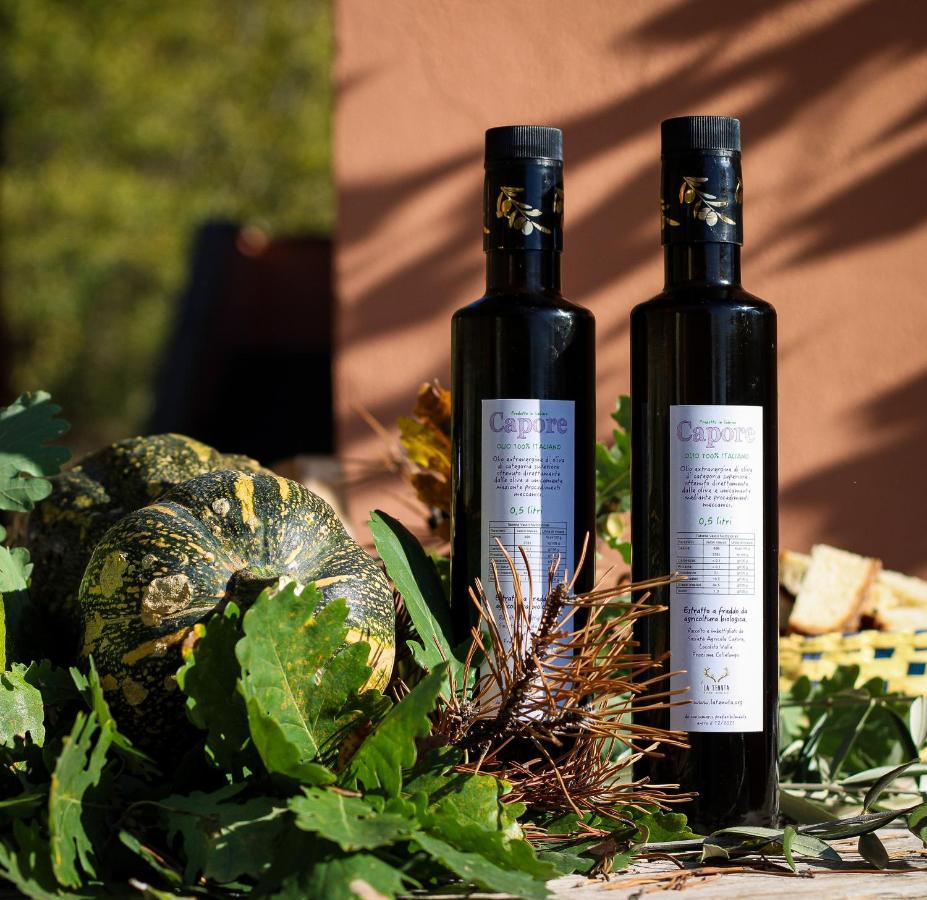 La Tenuta - Resort Agricolo Casaprota 外观 照片